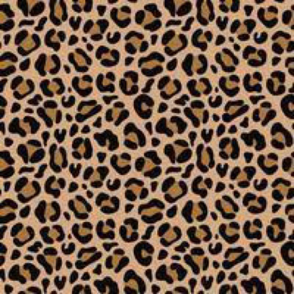 Meet your Posher, Britney - Picture 1 of 1